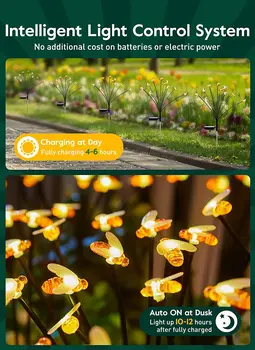 Väljas Mesilaste Putukate Päikese-Aed Paigutus Atmosfääri Kaunistamiseks String Valgus Väljas Muru Maa Sisestamise Kerge