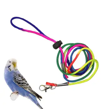 Papagoi Mähe Armas Värviline Cockatiel Tuvid Väike Keskmine Suur Lemmikloom Linnud Lendu Sobivad Riided Pestav