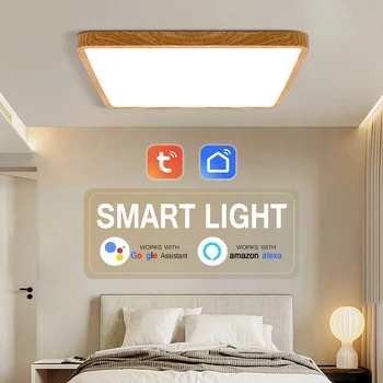 Ultra-Õhuke LED Lakke Lamp Smart Wifi Tuya Alexa App Serveri hääljuhtimine Siseruumides Juhitava Lamp Magamistuba elutuba Köök